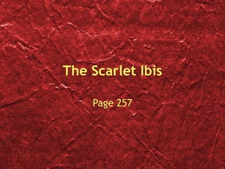 The Scarlet Ibis Page 257 