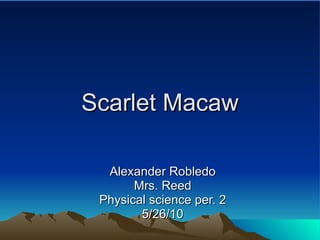 Scarlet Macaw Alexander Robledo Mrs. Reed Physical science per. 2 5/26/10 