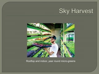 Rooftop and indoor, year round micro-greens 
 