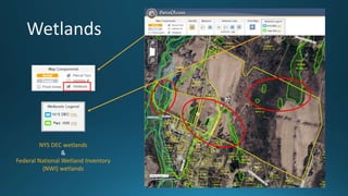 NYS DEC wetlands
&
Federal National Wetland Inventory
(NWI) wetlands
 