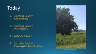 1. Dutchess County
ParcelAccess
2. Dutchess County
AerialAccess
3. Web Soil Survey
4. Dutchess County
Town Agricultural Profiles
Photo credit: Sean Carroll
 