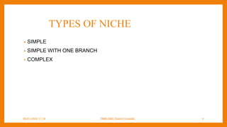 TYPES OF NICHE
• SIMPLE
• SIMPLE WITH ONE BRANCH
• COMPLEX
09-01-2024 17:18 DNB-OBG District Hospital 4
 