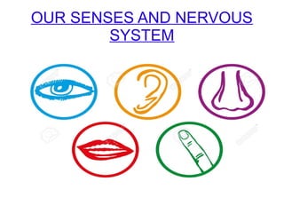 OUR SENSES AND NERVOUS
SYSTEM
 