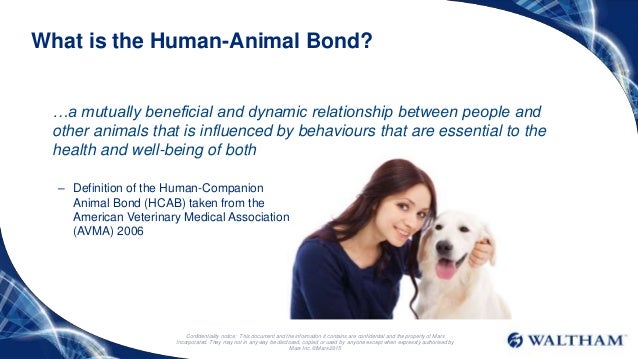 health and social benefits of the human animal bond human animal bond