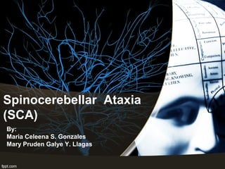 Spinocerebellar Ataxia
(SCA)
By:
Maria Celeena S. Gonzales
Mary Pruden Galye Y. Llagas
 