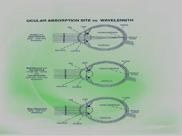 o absorb light absorption Scattering and of