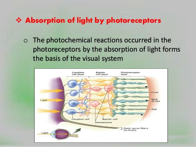 absorb o absorption and of light Scattering