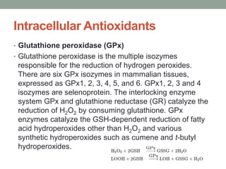 glutathione scavenger Glutathione Injections: Benefits, Safety, Dosing & Cost main image 1