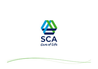 SCA Year-end Report 2013