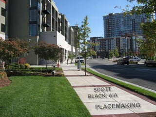 Scott  Black, aia Placemaking 