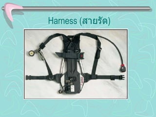 Harness  ( สายรัด ) 