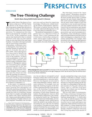 E VO L U T I O N
                                                                                               PERSPECTIVES
                                                                                                                                 But what does it mean to be “more
                                                                                                                              closely related”? Relatedness should be
                                 The Tree-Thinking Challenge                                                                  understood in terms of common ancestry—
                                                                                                                              the more recently species share a common
                                         David A. Baum, Stacey DeWitt Smith, Samuel S. S. Donovan                             ancestor, the more closely related they are.
                                                                                                                              This can be seen by reference to pedigrees:
                                  he central claim of the theory of evo- pret trees and use them for organizing               You are more closely related to your first

                          T       lution as laid out in 1859 by Charles knowledge of biodiversity without know-
                                  Darwin in The Origin of Species is ing the details of phylogenetic inference.
                          that living species, despite their diversity in The reverse is, however, not true. One can-
                                                                                                                              cousin than to your second cousin because
                                                                                                                              your last common ancestor with your first
                                                                                                                              cousin lived two generations ago (grand-
                          form and way of life, are the products of not really understand phylogenetics if one                parents), whereas your last common ances-
                          descent (with modification) from common is not clear what an evolutionary tree is.                  tor with your second cousin lived three
                          ancestors. To communicate this idea,                       The preferred interpretation of a phylo- generations ago (great-grandparents).
                          Darwin developed the metaphor of the genetic tree is as a depiction of lines of                     Nonetheless, many introductory students
                          “tree of life.” In this comparison, living descent. That is, trees communicate the                  and even professionals do not find it easy to
                          species trace backward in time to common evolutionary relationships among ele-                      read a tree diagram as a depiction of evolu-
                          ancestors in the same way that separate ments, such as genes or species, that con-                  tionary relationships. For example, when
                          twigs on a tree trace back to the same major nect a sample of branch tips. Under this               presented with a particular phylogenetic
                          branches. Coincident with improved meth- interpretation, the nodes (branching points)               tree (see the figure, left), people often erro-
                          ods for uncovering evolutionary
                          relationships, evolutionary trees,
                          or phylogenies, have become an
                          essential element of modern biol-
                          ogy (1). Consider the case of
                          HIV/AIDS, where phylogenies
                          have been used to identify the
                          source of the virus, to date the
                          onset of the epidemic, to detect
                          viral recombination, to track viral
                          evolution within a patient, and to
                          identify modes of potential trans-
                          mission (2). Phylogenetic analysis
                          was even used to solve a murder                                         x
                          case involving HIV (3). Yet “tree
                          thinking” remains widely prac-                                y
                          ticed only by professional evolu- Which phylogenetic tree is accurate? On the basis of the tree on the left, is the frog more closely related to
                          tionary biologists. This is a partic- the fish or the human? Does the tree on the right change your mind? See the text for how the common ances-
                          ular cause for concern at a time tors (x and y) indicate relatedness.
                          when the teaching of evolution is
                          being challenged, because evolutionary on a tree are taken to correspond to actual neously conclude that a frog is more closely
                          trees serve not only as tools for biological biological entities that existed in the past: related to a fish than to a human. A frog is
                          researchers across disciplines but also as ancestral populations or ancestral genes. actually more closely related to a human
                          the main framework within which evidence However, tree diagrams are also used in than to a f ish because the last common
                          for evolution is evaluated (4, 5).                     many nonevolutionary contexts, which can ancestor of a frog and a human (see the fig-
                              At the outset, it is important to clarify cause confusion. For example, trees can ure, label x) is a descendant of the last com-
                          that tree thinking does not necessarily depict the clustering of genes on the basis mon ancestor of a frog and a fish (see the
                          entail knowing how phylogenies are of their expression profiles from microar- f igure, label y), and thus lived more
                          inferred by practicing systematists. Anyone rays, or the clustering of ecological com- recently. [To evaluate your tree-thinking
                          who has looked into phylogenetics from munities by species composition. The skills, take the quizzes (6)].
                          outside the field of evolutionary biology prevalence of such cluster diagrams may                         Why are trees liable to misinterpreta-
                          knows that it is complex and rapidly chang- explain why phylogenetic trees are often tion? Some evolutionary biologists have
                          ing, replete with a dense statistical litera- misinterpreted as depictions of the similar- proposed that nonspecialists are prone to
                          ture, impassioned philosophical debates, ity among the branch tips. Phylogenetic read trees along the tips (1, 7), which in this
                          and an abundance of highly technical com- trees show historical relationships, not sim- case yields an ordered sequence from fish
                          puter programs. Fortunately, one can inter- ilarities. Although closely related species to frogs and ultimately to humans. This
                                                                                 tend to be similar to one another, this is not incorrect way to read a phylogeny may
CREDIT: P. HUEY/SCIENCE




                          D. A. Baum and S. D. Smith are in the Department of    necessarily the case if the rate of evolution explain the widely held but erroneous view
                          Botany, University of Wisconsin, 430 Lincoln Drive,    is not uniform: Crocodiles are more closely that evolution is a linear progression from
                          Madison, WI 53706, USA. E-mail: dbaum@wisc.edu;
                          sdsmith4@wisc.edu S. S. Donovan is in the Department
                                                                                 related to birds than they are to lizards, even primitive to advanced species (8), even
                          of Instruction and Learning, University of Pittsburgh, though crocodiles are indisputably more though a moment’s reflection will reveal
                          Pittsburgh, PA 15260, USA. E-mail: sdonovan@pitt.edu   similar in external appearance to lizards.      that a living frog cannot be the ancestor of

                                                                www.sciencemag.org       SCIENCE     VOL 310    11 NOVEMBER 2005                                                979
                                                                                           Published by AAAS
 