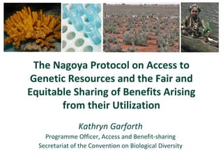 The Nagoya Protocol on Access to
Genetic Resources and the Fair and
Equitable Sharing of Benefits Arising
from their Utilization
Kathryn Garforth
Programme Officer, Access and Benefit-sharing
Secretariat of the Convention on Biological Diversity
 