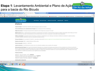 11
Etapa 1: Levantamento Ambiental e Plano de Ação
para a bacia do Rio Bicudo
 