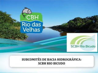 1
SUBCOMITÊS DE BACIA HIDROGRÁFICA:
SCBH RIO BICUDO
 