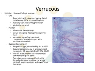 Verrucous
•   3 distinct clinicopathologic subtypes
     – Oral
            • Associated with tobacco chewing, betel
               nut chewing, HPV, poor oral hygiene
            • Typically wart like white/gray lesion
            • Well differentiated
     – Plantar
            • Many crypt like openings
            • Slowly enlarging, fleshy pink exophytic
               mass
            • Verrucous hyper/para keratotic
               component, epithelial crypts with
               keratinaceous debris
     – Buschke-Loewenstein
            • Anogenital type, described by B-L in 1925
            • Occur most commonly in uncircumcised
               men under 50, associated with HPV 6 & 11
            • Present as caulflower like lesions most
               commonly on glans penis
            • Extensive verrucous acanthosis with
               dermal extension, keratinocyte atypia
               minimal, hypergranulosis and crypt/sinus
               formation
 