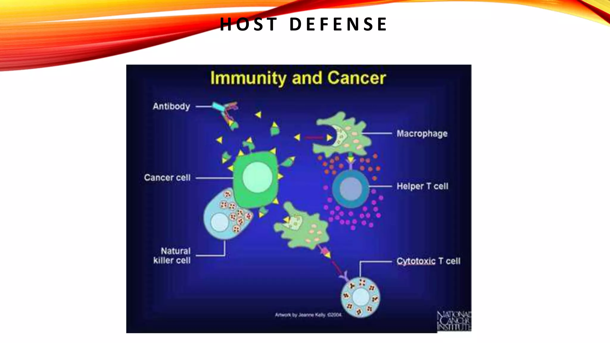 SQUAMOUS CELL CARCINOMA ORAL CANCER PPT PPT SQUAMOUS CELL CARCINOMA ORAL CANCER PPT PPT