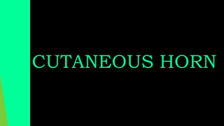 CUTANEOUS HORN
 
