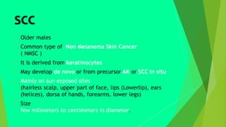 SCC
 Older males
 Common type of Non Melanoma Skin Cancer
( NMSC )
 It is derived from keratinocytes
 May develop de novo or from precursor AK or SCC in situ
 Mainly on sun exposed sites
(hairless scalp, upper part of face, lips (Lowerlip), ears
(helices), dorsa of hands, forearms, lower legs)
 Size
few milimeters to centimeters in diameter.
 