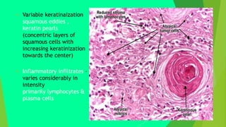  Variable keratinaization
squamous eddies ,
keratin pearls
(concentric layers of
squamous cells with
increasing keratinization
towards the center)
 Inflammatory infiltrates –
varies considerably in
intensity
primarily lymphocytes &
plasma cells
 