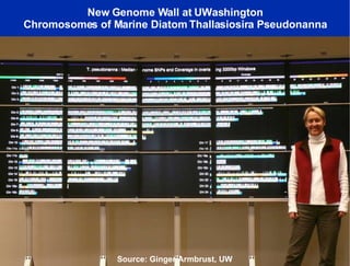 Creating a Planetary Scale OptIPuter