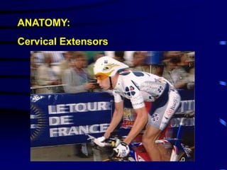ANATOMY:Cervical Extensors