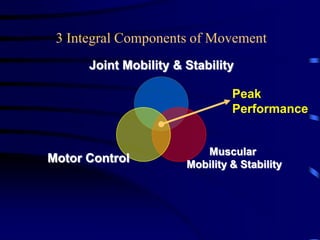 3 Integral Components of Movement