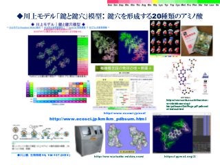 ◆川上モデル「鍵と鍵穴」模型； 鍵穴を形成する20種類のアミノ酸
●川上勝，生物物理 55, 104-107 (2015)
http://www.ecosci.jp/km/km_pdbsum.html
http://www.ecosci.jp/ocd/
https://pymol.org/2/
https://www.ebi.ac.uk/thornton-
srv/databases/cgi-
bin/pdbsum/GetPage.pl?pdbcod
e=index.html
http://www.studio-midas.com/
 