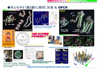 ◆川上モデル「鍵と鍵穴」模型； 医薬 ＆ GPCR
http://www.ecosci.jp/km/km_pdbsum.html
Alexander Fleming - Wikipedia
https://en.wikipedia.org/wiki/Alexan
der_Fleming
https://www.tokyo-
np.co.jp/article/national/list/201910/
CK2019101202000139.html
http://www.ecosci.jp/ocd-app/
http://www.ecosci.jp/ab/
http://www.ecosci.jp/GPCR/
“元素・分子が登場
する本を読もう！”
 
