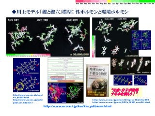 ◆川上モデル「鍵と鍵穴」模型； 性ホルモンと環境ホルモン
http://www.ecosci.jp/km/km_pdbsum.html
http://www.ecosci.jp/chem13/topics18d.html#04
http://www.ecosci.jp/env/POPs_WWF_new20.html
“元素・分子が登場
する本を読もう！”http://www.ecosci.jp/env/
sh_p450j.html
http://www.ecosci.jp/pdb/
pdbsum_ER.html
 
