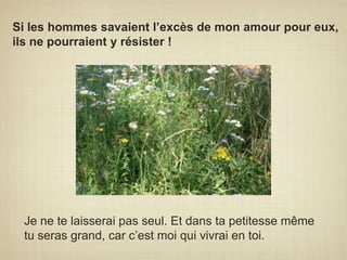 Si les hommes savaient l’excès de mon amour pour eux, ils ne pourraient y résister !	Je ne te laisserai pas seul. Et dans ta petitesse même tu seras grand, car c’est moi qui vivrai en toi.