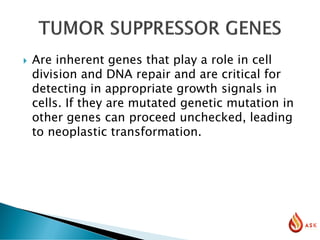  Are inherent genes that play a role in cell
division and DNA repair and are critical for
detecting in appropriate growth signals in
cells. If they are mutated genetic mutation in
other genes can proceed unchecked, leading
to neoplastic transformation.
 