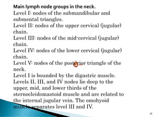 25
Main lymph node groups in the neck.
Level I: nodes of the submandibular and
submental triangles.
Level II: nodes of the upper cervical (jugular)
chain.
Level III: nodes of the mid-cervical (jugular)
chain.
Level IV: nodes of the lower cervical (jugular)
chain.
Level V: nodes of the posterior triangle of the
neck.
Level I is bounded by the digastric muscle.
Levels II, III, and IV nodes lie deep to the
upper, mid, and lower thirds of the
sternocleidomastoid muscle and are related to
the internal jugular vein. The omohyoid
muscle separates level lII and IV.
 