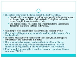 The spleen enlarges in the latter part of the first year of life.  Occasionally, it undergoes a sudden very painful enlargement due to pooling of large numbers of sickled cells. This phenomenon is known as splenic sequestration crisis. The nonfunctional spleen is a major contributor to the immune deficiency that exists in these individuals. Another problem occurring in infancy is hand-foot syndrome.  This is a dactylitis presenting as painful swelling of the dorsum of the hand and foot. The acute chest syndrome consists of chest pain, fever, tachypnea, leukocytosis, and pulmonary infiltrates.  This is a medical emergency and must be treated immediately. Fat embolism, resulting from bone marrow infarction, plays an important etiological role in the pathogenesis of this syndrome. If not attended to promptly, it may lead to acute respiratory distress syndrome (ARDS). 