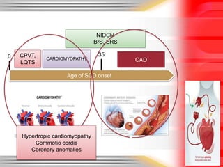 Age of SCD onset
CPVT,
LQTS
CARDIOMYOPATHY
350
CAD
NIDCM
BrS, ERS
Hypertropic cardiomyopathy
Commotio cordis
Coronary anomalies
 