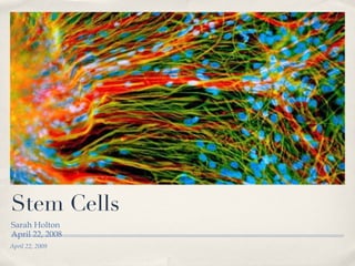 Stem Cells ,[object Object],[object Object],April 22, 2009 