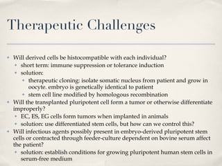 Therapeutic Challenges Will derived cells be histocompatible with each individual? short term: immune suppression or tolerance induction solution: therapeutic cloning: isolate somatic nucleus from patient and grow in oocyte. embryo is genetically identical to patient stem cell line modified by homologous recombination Will the transplanted pluripotent cell form a tumor or otherwise differentiate improperly? EC, ES, EG cells form tumors when implanted in animals solution: use differentiated stem cells, but how can we control this? Will infectious agents possibly present in embryo-derived pluripotent stem cells or contracted through feeder-culture dependent on bovine serum affect the patient? solution: establish conditions for growing pluripotent human stem cells in serum-free medium 