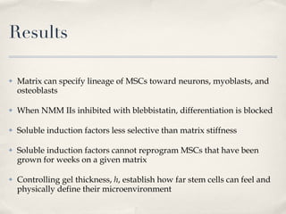Results Matrix can specify lineage of MSCs toward neurons, myoblasts, and osteoblasts When NMM IIs inhibited with blebbistatin, differentiation is blocked Soluble induction factors less selective than matrix stiffness Soluble induction factors cannot reprogram MSCs that have been grown for weeks on a given matrix Controlling gel thickness,  h , establish how far stem cells can feel and physically define their microenvironment 