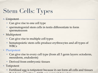 Stem Cells: Types Unipotent Can give rise to one cell type spermatogonial stem cells in testis differentiate to form spermatozoon Multipotent Can give rise to multiple cell types hematopoietic stem cells produce erythrocytes and all types of WBCs Pluripotent Can give rise to every cell type (from all 3 germ layers: ectoderm, mesoderm, endoderm) Derived from embryonic tissues Totipotent Fertilized egg is totipotent because it can form all cells and tissues that form an embryo AND can support it  in utero 