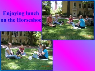 Enjoying lunch
on the Horseshoe
 