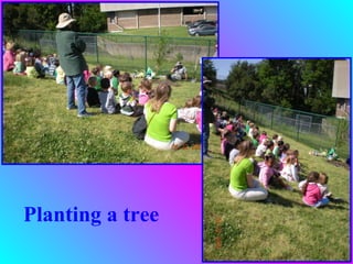 Planting a tree
 