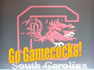 SC Down Syndrome Conference 