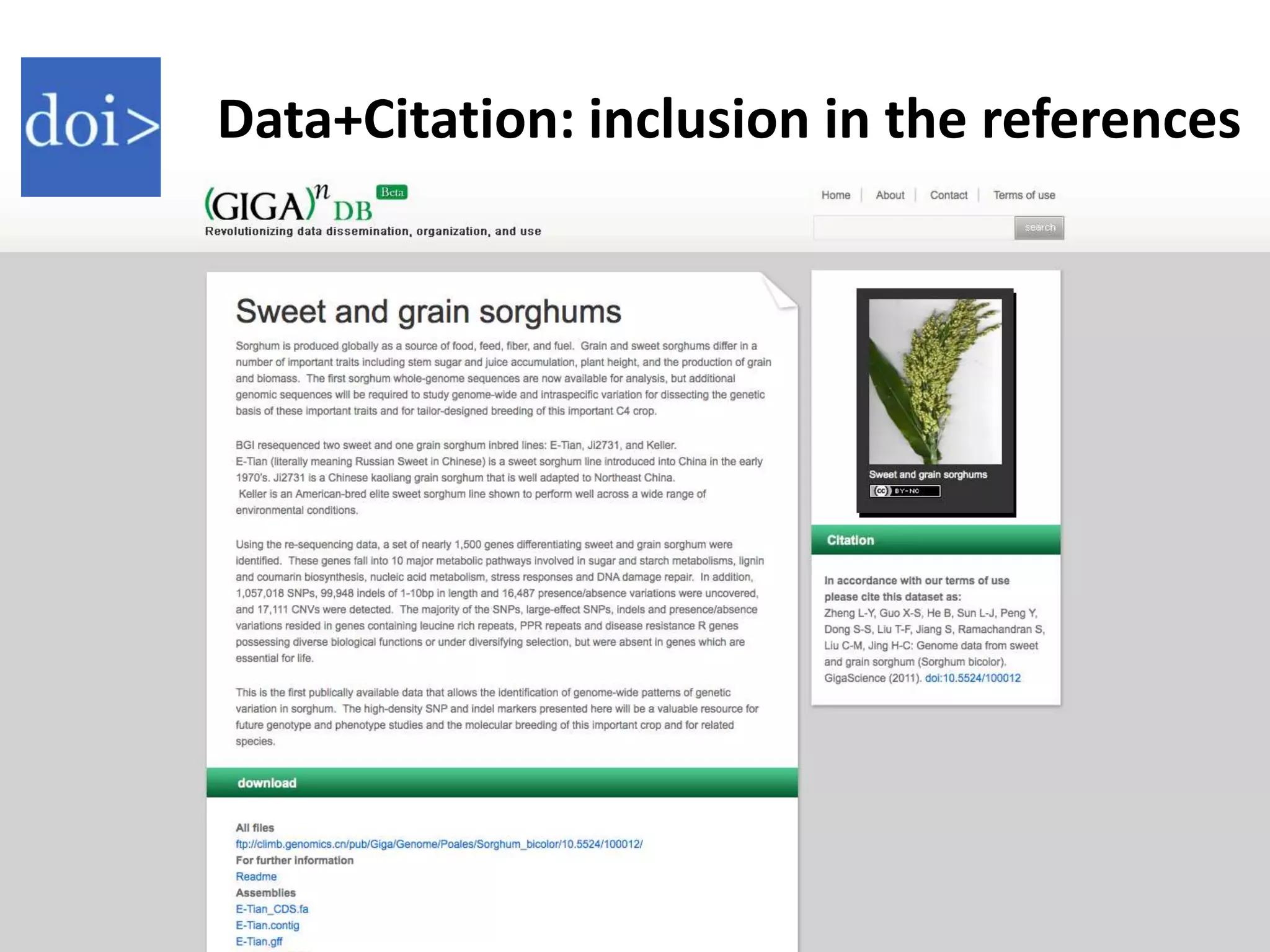 Data+Citation: inclusion in the references
 