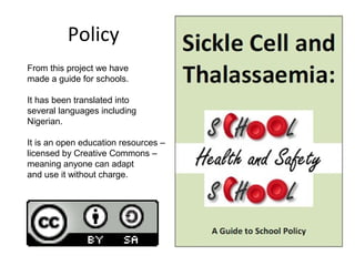 Policy
From this project we have
made a guide for schools.
It has been translated into
several languages including
Nigeria...