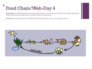 3rd Grade Animal Lesson Plan | PPT