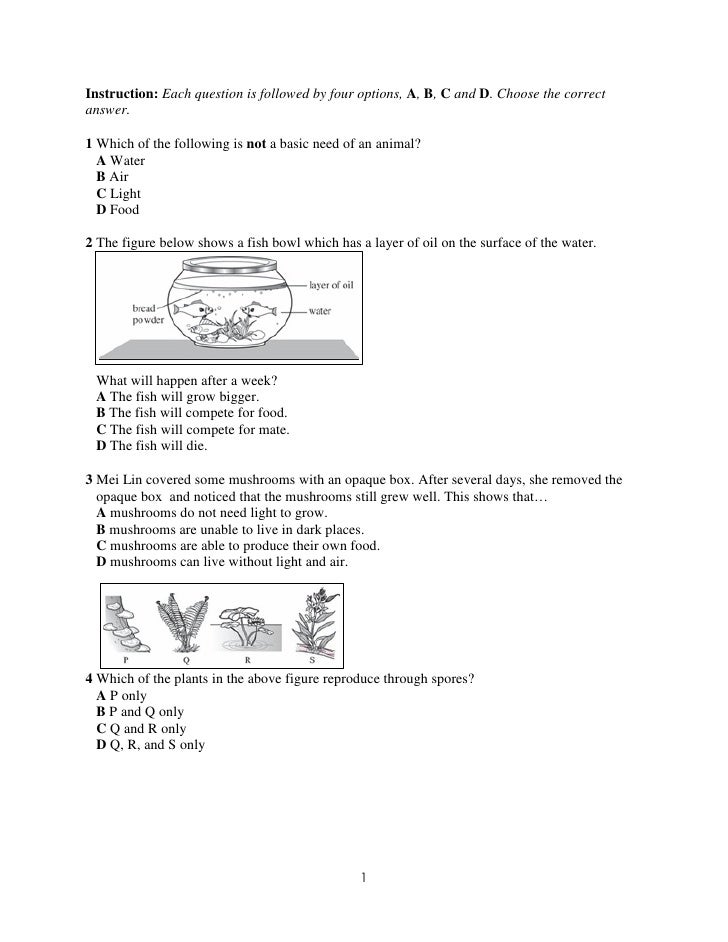 Sceince year-4-mid-term-exam