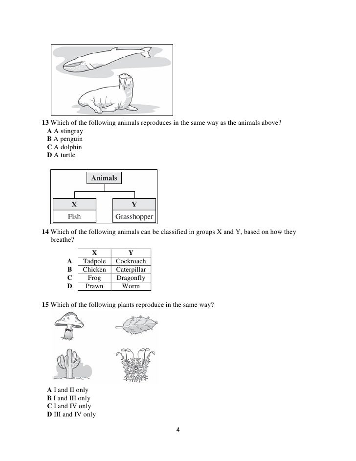 dlp science year 2 exam paper