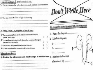  امتحانات المدارس فى الساينس للصف الخامس الابتدائى لآخر العام Science g5 t2 tests