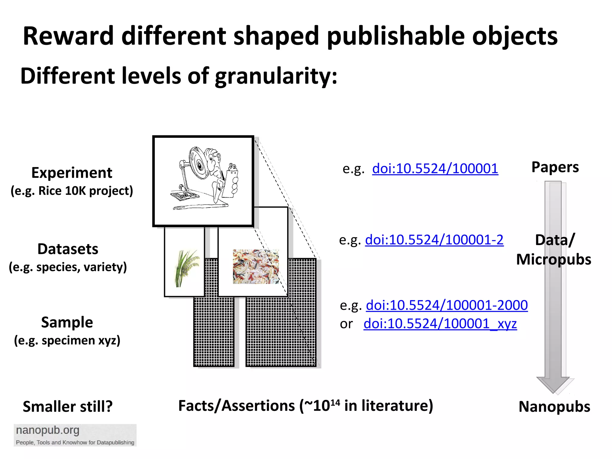 Different levels of granularity:
Experiment
(e.g. Rice 10K project)
Datasets
(e.g. species, variety)
Sample
(e.g. specimen xyz)
e.g. doi:10.5524/100001
e.g. doi:10.5524/100001-2
e.g. doi:10.5524/100001-2000
or doi:10.5524/100001_xyz
Smaller still?
Papers
Data/
Micropubs
NanopubsFacts/Assertions (~1014
in literature)
Reward different shaped publishable objects
 