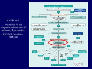 N. Galiè et al.  Guidelines for the diagnosis and treatment of pulmonary hypertension.  ESC/ERS Guidelines.  EHJ 2009 